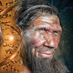 neanderthal-dna-2x2